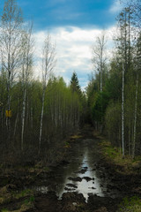 Fototapeta premium Big puddle in the spring forest