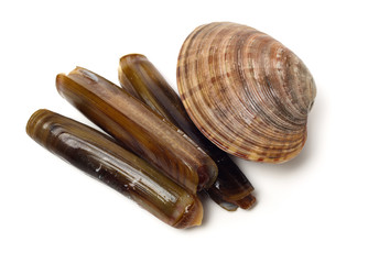 Stacked fresh raw clams and razor clams on white background