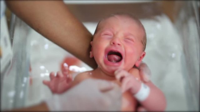 Newborn infant baby taking bath for the first time