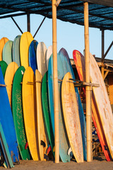 Set of colorful surfboard for rent on the beach. Multicolored surf boards different sizes and colors surfing boards on stand, surfboards rental place