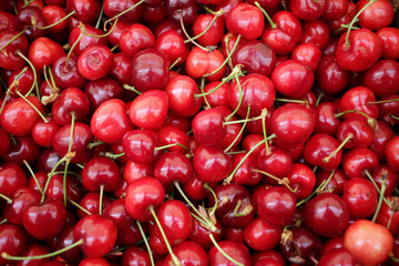 Close up of pile of ripe cherries with stalks. Large collection of fresh red cherries. Sweet organic red cherries. Cherry on a farmer market as background texture. Fruit cover photo. 
