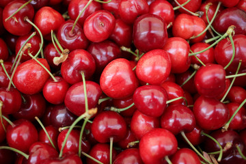 Close up of pile of ripe cherries with stalks. Large collection of fresh red cherries. Sweet organic red cherries. Cherry on a farmer market as background texture. Fruit cover photo. 