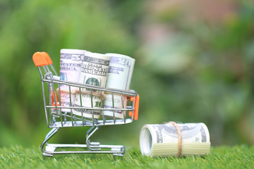 Finance, banknote in mini shopping cart on natural green background, Business investment growth and Save money for prepare in future concept