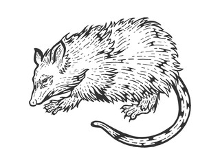 Opossum rat animal sketch engraving vector illustration. Scratch board style imitation. Black and white hand drawn image.