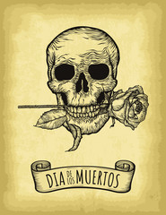 Hand drawn skull on old craft paper texture background. Template for your design works. Engraved style vector illustration. Day of the dead lettering (Spanish language).
