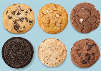 Chocolate chip cookie on white background