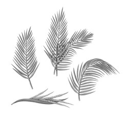 Palm Fronds and Flowers Pencil Illustration Isolated on White