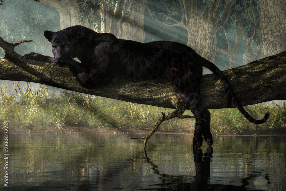 Fototapete a black panther sits on a log over a small calm jungle pond. sunlight streams down through the fores