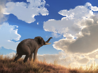 Naklejka na ściany i meble As the sun rises over the horizon, it seems to set the clouds that drift in the sky on fire. Below, an elephant raises is trunk to the sky greeting the dawn with a mighty trumpet. 3D Rendering