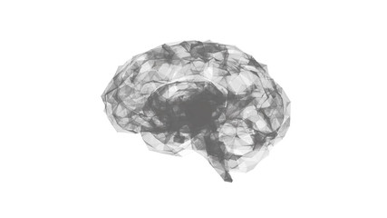 Abstract 3D geometric polygon human brain