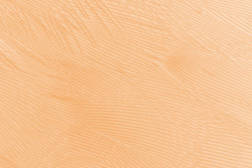 Beautiful orange colors tone feather texture background, trends color 