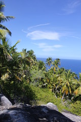 Fototapeta na wymiar private island beach north island seychelles