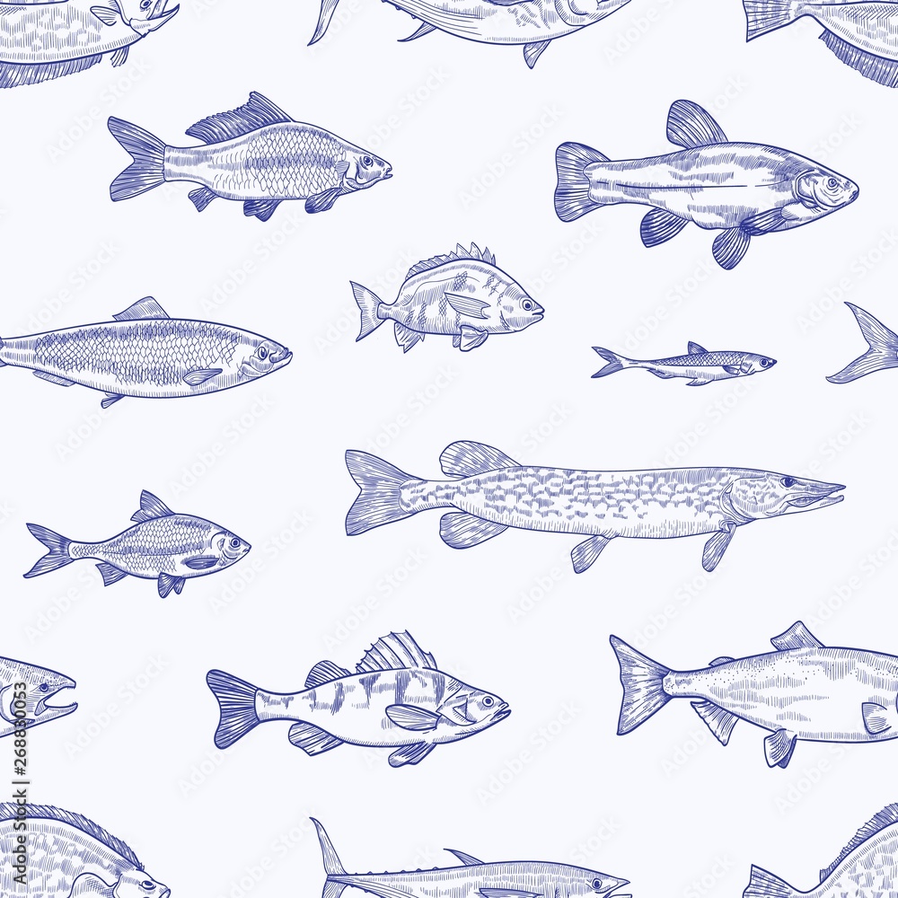 Poster monochrome seamless pattern with various types of fish hand drawn with contour lines on light backgr