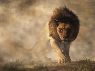 A male lion stalks towards you out of the fog.  He has a rather angry look on his face, as if he just figured out that it is you that has been teasing him with a laser pointer.  3D Rendering  © Daniel Eskridge