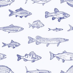 Monochrome seamless pattern with various types of fish hand drawn with contour lines on light background. Backdrop with sea or ocean animals, aquatic creatures. Elegant realistic vector illustration.