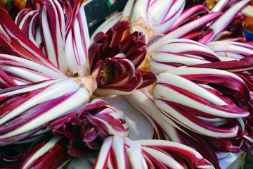 Crate of radicchio di treviso purple salad at an Italian farmers market