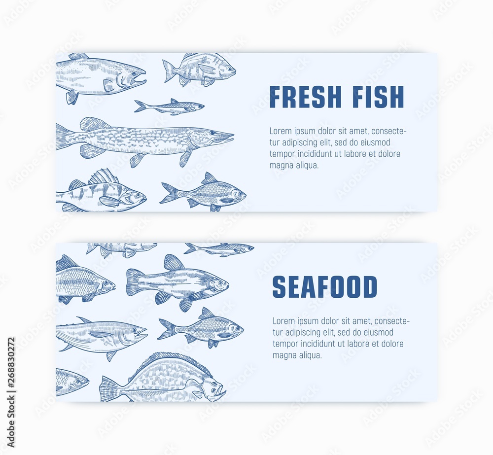 Poster collection of monochrome web banner templates with fish hand drawn with contour lines on light backg