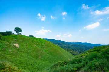 Obraz premium エコイメージ