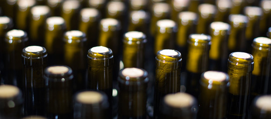 wine bottles with stoppers on modern winery
