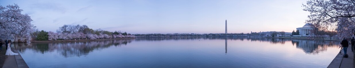 Obraz premium Tidal Basin DC