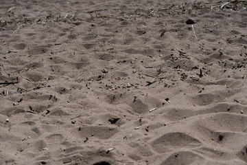 sandy river Bank in the rays of the setting sun