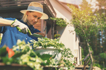 happy young woman planting summer flowers in pot at home backyard - Powered by Adobe