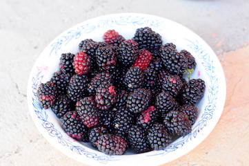 Organic fruits and vegetables produced by classical farming techniques