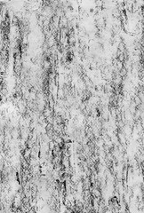 Monochrome abstract grunge background.