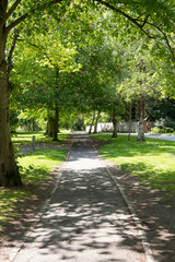 University campus path sunny day