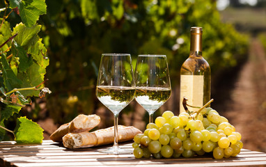glass of White wine ripe grapes and bread on table in vineyard