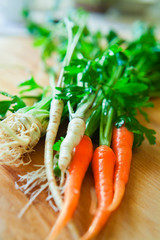 Fresh young vegetables ingredients for cooking delicious organic veggie stock -  base for all the soups: carrots, parsley roots, leeks, celeriac, celery, dill, parsnip.