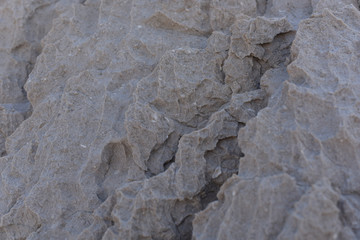 Texture of natural gray stone with fossils