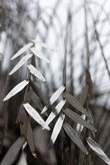 Dohany Street Synagogue, Budapest, Hungary.