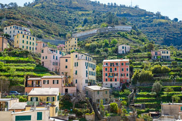 Fototapeta na wymiar Riomaggiore, Liguria, Italy fisherman village, colorful houses on sunny warm day. Monterosso al Mare, Vernazza, Corniglia, Manarola, and Riomaggiore, Cinque Terre National Park UNESCO World Heritage