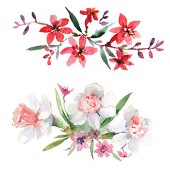 Bouquet floral botanical flowers. Watercolor background illustration set. Isolated bouquets illustration element.