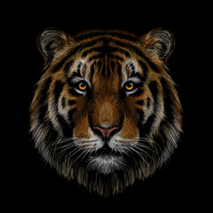 Color, graphic, hand-drawn portrait of a tiger looking ahead on a black background.