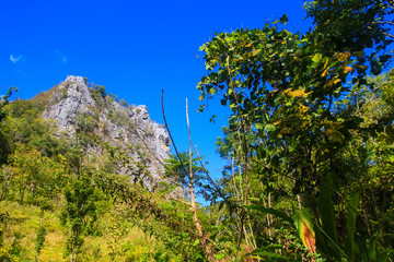 Obraz premium Beautiful Landscape of rocky Limestone Mountain and green forest with blu sky at Chiang doa national park in Chiangmai, Thailand