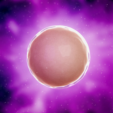 3d rendered medically accurate illustration of a fertilized egg cell