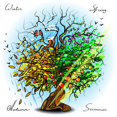 Weather Calendar. The tree symbolizes the change of seasons: winter, spring, summer, autumn.