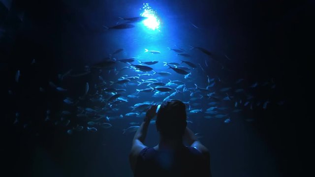 Woman taking picture of spinning shoal of fish in 4k slow motion 60fps