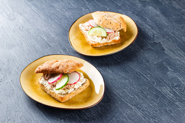 Delicious tuna sandwich, served with radish and cucumber