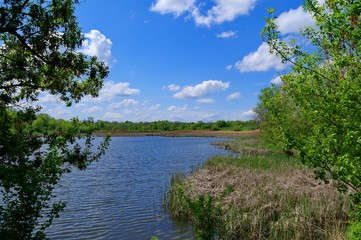 Spring rural landscape, pond and sky, clouds.