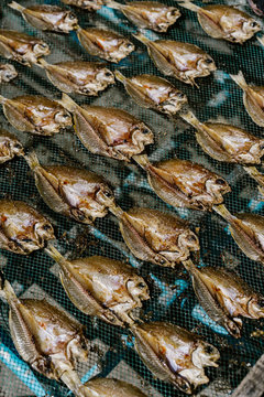 Drying fish on grid