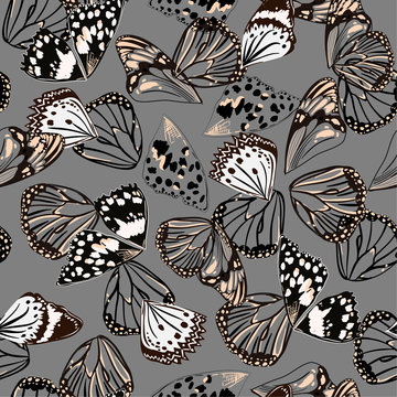 Monotone black and grey colors seamless pattern vectror of butterfly wing surface line hand drawing sketch dsign for fashion,fabric,web,wallpaper