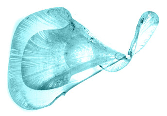 Abstract watercolor background hand-drawn on paper. Volumetric smoke elements. Blue-Green color. For design, web, card, text, decoration, surfaces.