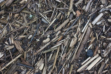 mulch pile