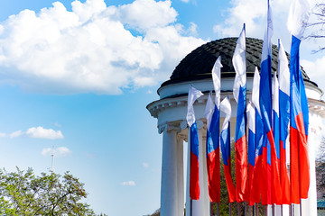 flag in front of building