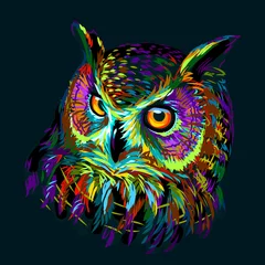 Wall murals Owl Cartoons Long-eared Owl. Abstract, multicolored graphic hand-drawn portrait of an owl on a dark green background.