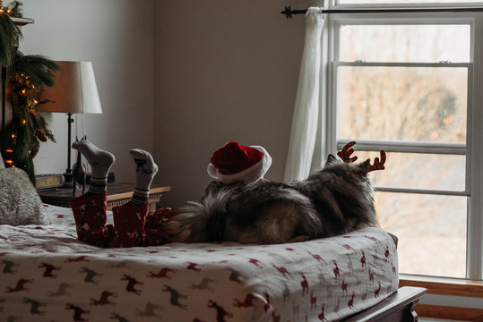 Boy and Dog