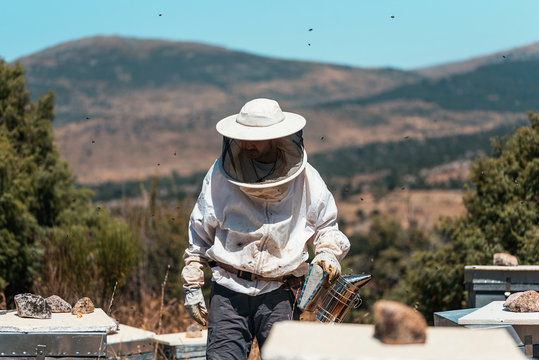 Beekeeper working collect honey